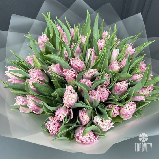  Букет из 51 сортового розового тюльпана