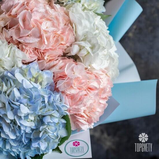 Букет из 15 гортензий микс