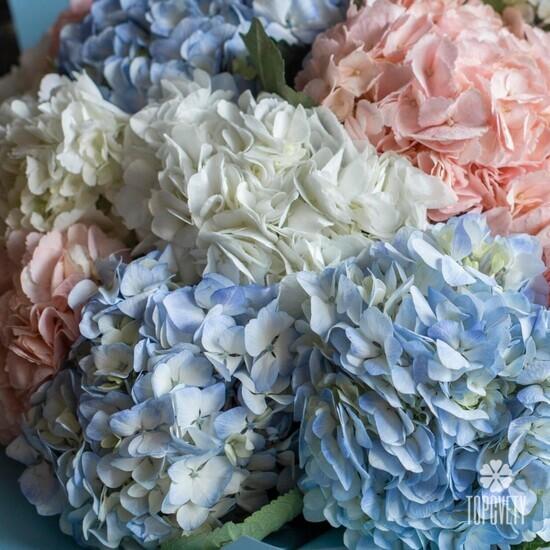 Букет из 15 гортензий микс