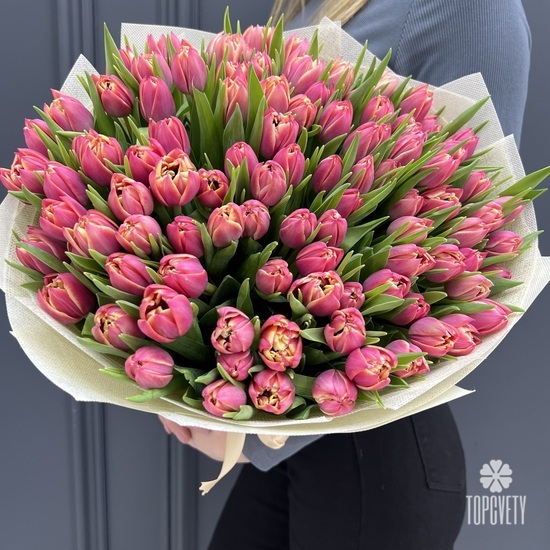 Букет из 101 розового пионовидного тюльпана