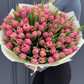 Букет из 101 розового пионовидного тюльпана