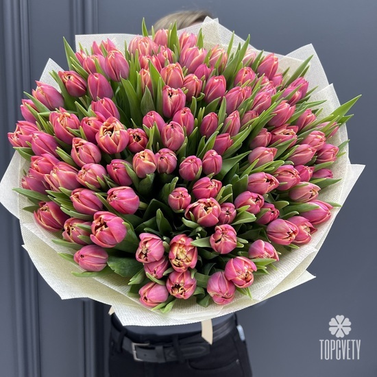 Букет из 101 розового пионовидного тюльпана