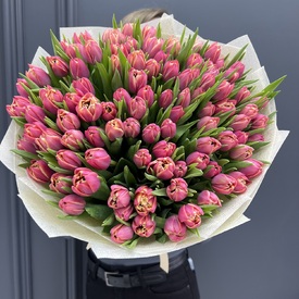 Букет из 101 розового пионовидного тюльпана