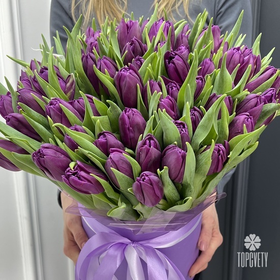 Букет из 51 сиреневого пионовидного тюльпана в коробке