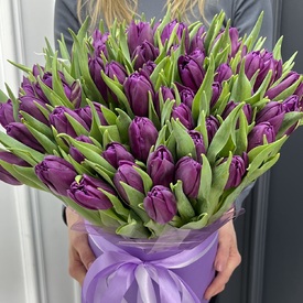 Букет из 51 сиреневого пионовидного тюльпана в коробке