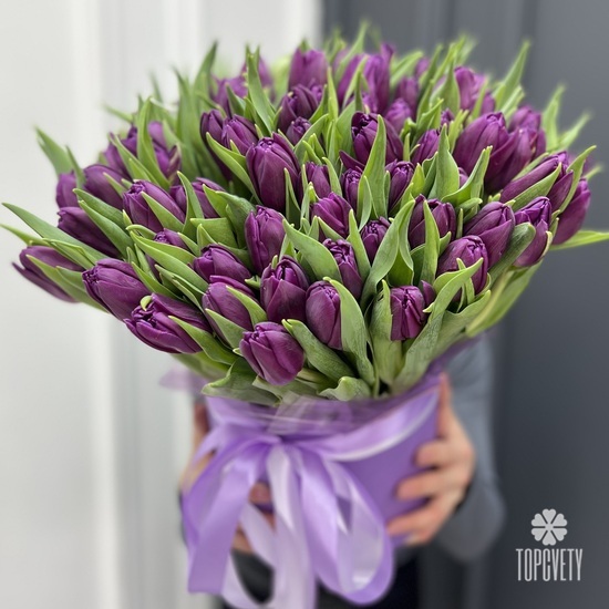 Букет из 51 сиреневого пионовидного тюльпана в коробке