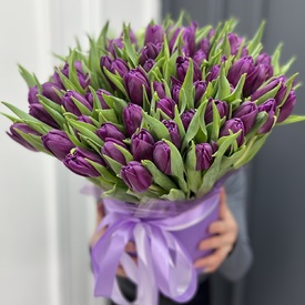 Букет из 51 сиреневого пионовидного тюльпана в коробке