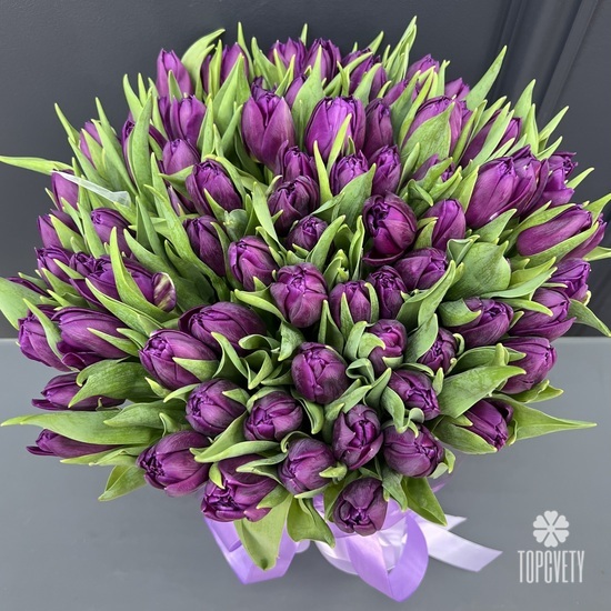 Букет из 51 сиреневого пионовидного тюльпана в коробке