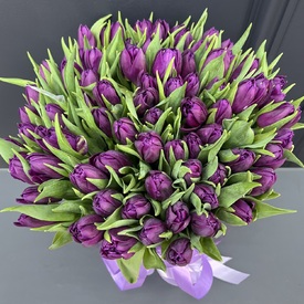 Букет из 51 сиреневого пионовидного тюльпана в коробке