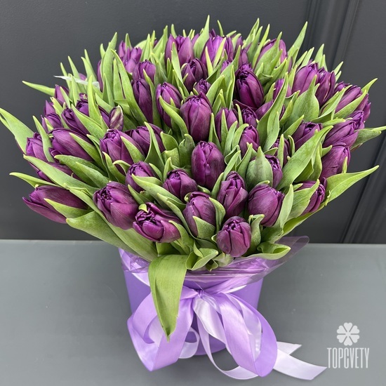 Букет из 51 сиреневого пионовидного тюльпана в коробке
