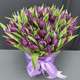 Букет из 51 сиреневого пионовидного тюльпана в коробке