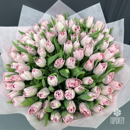 Букет из 101 розового пионовидного тюльпана