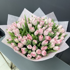 Букет из 101 розового пионовидного тюльпана