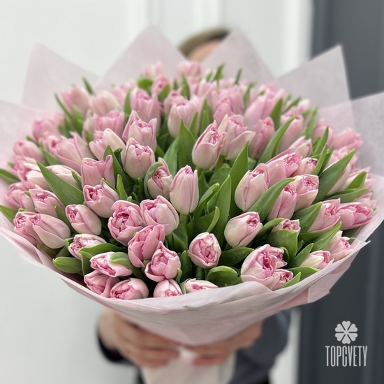 Букет из 101 розового пионовидного тюльпана