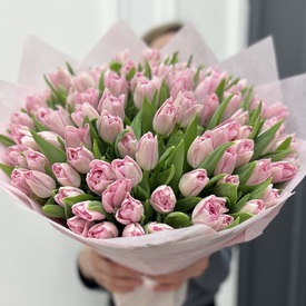 Букет из 101 розового пионовидного тюльпана