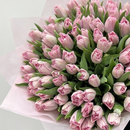 Букет из 101 розового пионовидного тюльпана