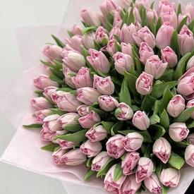 Букет из 101 розового пионовидного тюльпана