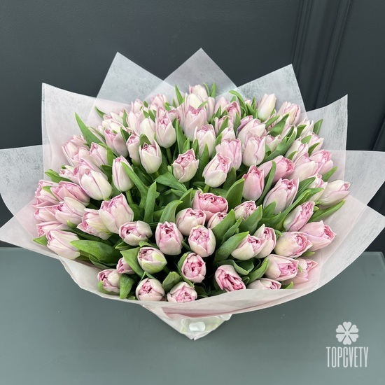 Букет из 101 розового пионовидного тюльпана