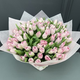 Букет из 101 розового пионовидного тюльпана