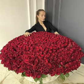 Букет из 701 красной розы в корзине