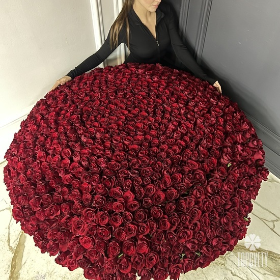 Букет из 701 красной розы в корзине