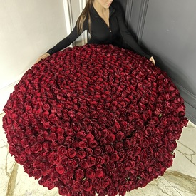 Букет из 701 красной розы в корзине