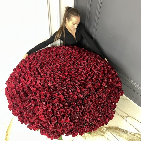 Букет из 701 красной розы в корзине