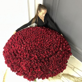 Букет из 701 красной розы в корзине