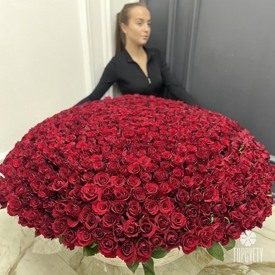 Букет из 701 красной розы в корзине