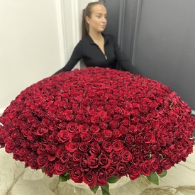Букет из 701 красной розы в корзине