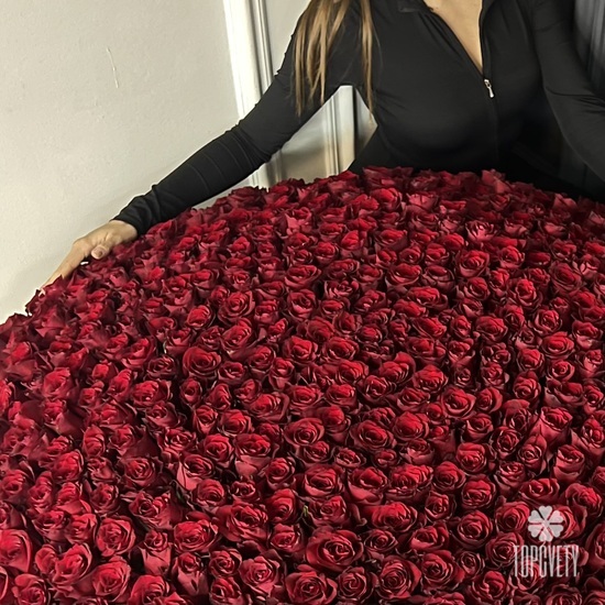 Букет из 701 красной розы в корзине