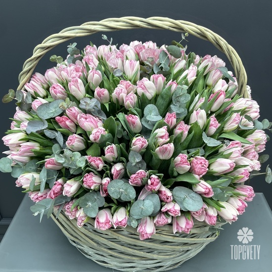 Букет из 251 розового пионовидного тюльпана в корзине