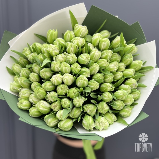 Букет из 101 зеленого тюльпана