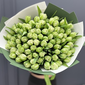 Букет из 101 зеленого тюльпана