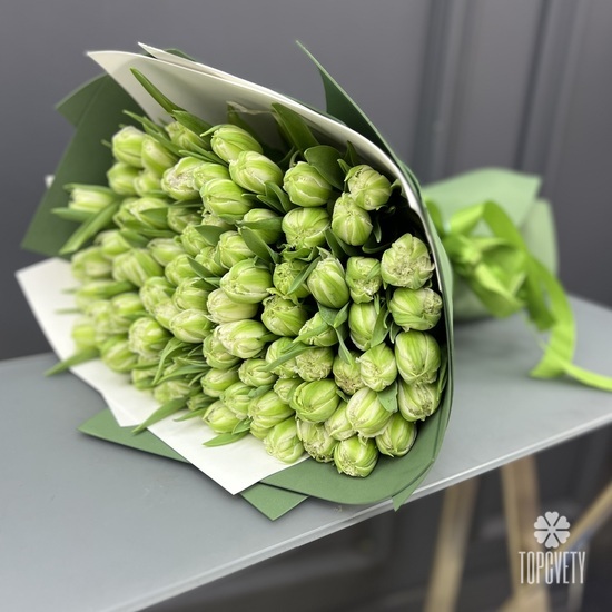 Букет из 101 зеленого тюльпана