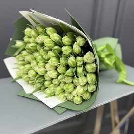 Букет из 101 зеленого тюльпана