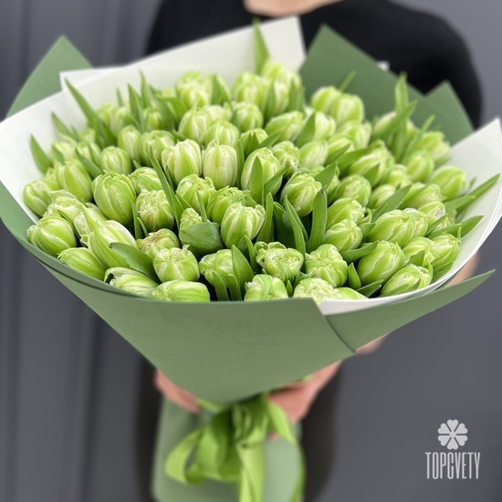 Букет из 101 зеленого тюльпана