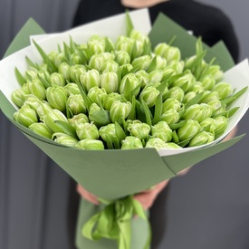 Букет из 101 зеленого тюльпана