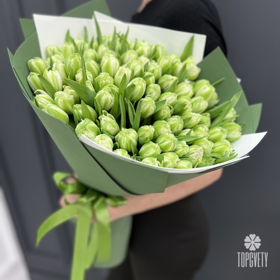 Букет из 101 зеленого тюльпана