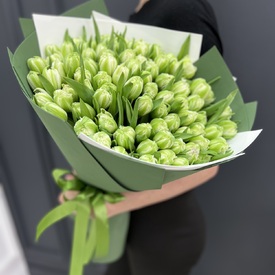 Букет из 101 зеленого тюльпана
