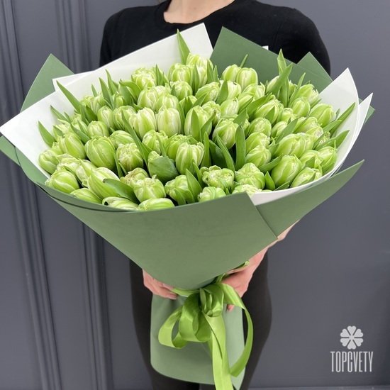 Букет из 101 зеленого тюльпана