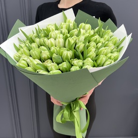 Букет из 101 зеленого тюльпана