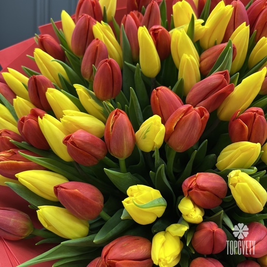 Букет из 101 тюльпана
