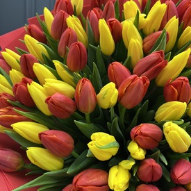 Букет из 101 тюльпана