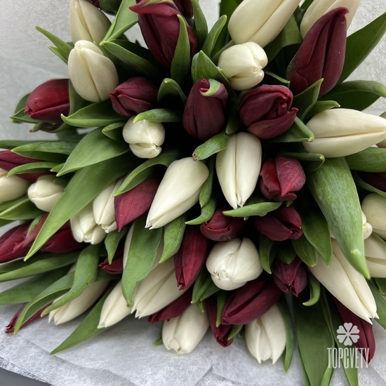 Букет из 51 тюльпана