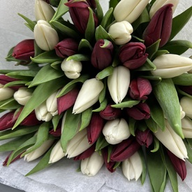 Букет из 51 тюльпана