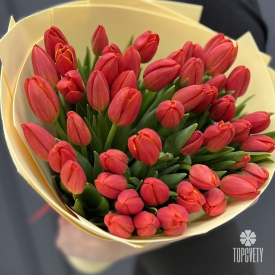 Букет из 51 красного  тюльпана