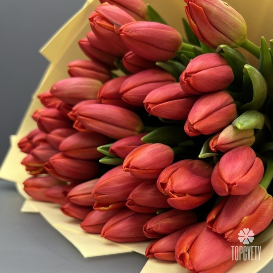 Букет из 51 красного  тюльпана
