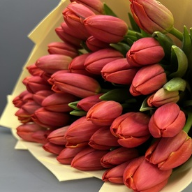 Букет из 51 красного  тюльпана