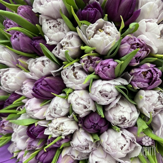 Букет из 101 пионовидного тюльпана